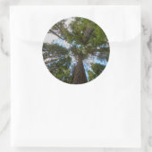 Douglas Fir tree canopy Ronde Sticker (Tas)