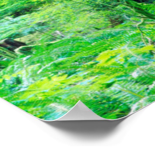 Douglas Fir tree Poster (Hoek)