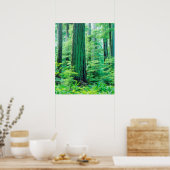 Douglas Fir tree Poster (Keuken)