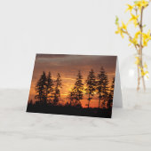 Douglas Firs en de Sunrise. - Frameerbare kunst Kaart (Gele Bloem)