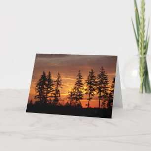 Douglas Firs en de Sunrise. - Frameerbare kunst Kaart