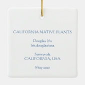 Douglas Iris Ornament (Achterkant)