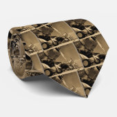 Douglas SBD Dauntless Bomber Planes uit de Tweede Stropdas (Opgerold)