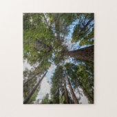 Douglas spar boomkroon legpuzzel (Verticaal)
