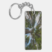 Douglas spar boomkroon sleutelhanger (Voorkant Links)