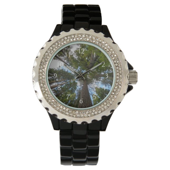 Douglas-sparrenkroon Horloge (Voorkant)