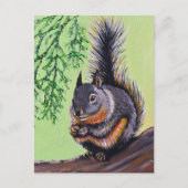 Douglas Squirrel Painting Briefkaart (Voorkant)