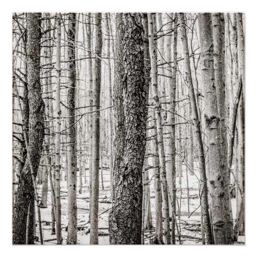 Douglas Woods Perfect Poster (Voorkant)