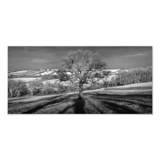 Doulting Hill Panorama Foto Afdruk (Voorkant)