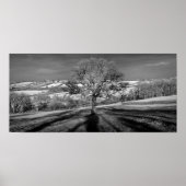 Doulting Hill Panorama Poster (Voorkant)