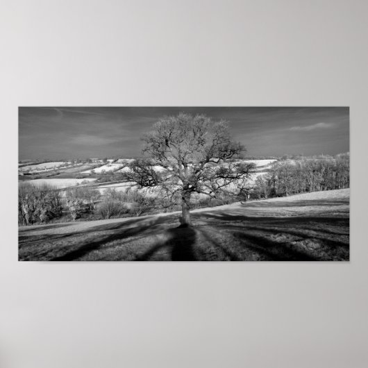 Doulting Hill Panorama Poster (Voorkant)