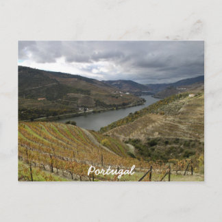 Douro Briefkaart