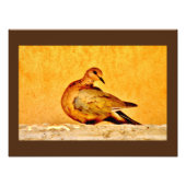 Dove Beauty Foto Afdruk (Voorkant)