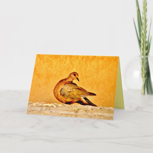 Dove Beauty Kaart (Voorkant)