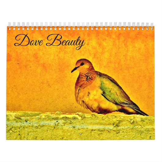 Dove Beauty Kalender (Hoes)