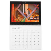 Dove Beauty Kalender (Jan 2027)