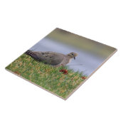 Dove Bird Tegeltje (Zijkant)