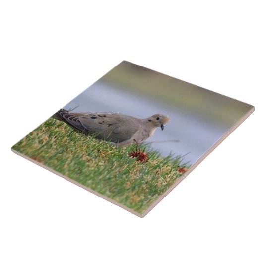 Dove Bird Tegeltje (Zijkant)