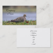 Dove Bird Visitekaartje (Voorkant / Achterkant)