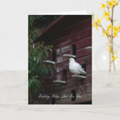 Dove Birthday Wenskaart Kaart (Gele Bloem)