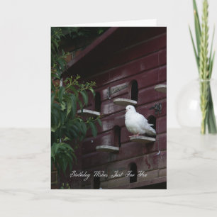 Dove Birthday Wenskaart Kaart