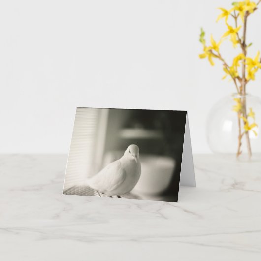 Dove Blank Kaart (Gele Bloem)