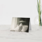 Dove Blank Kaart (Voorkant)