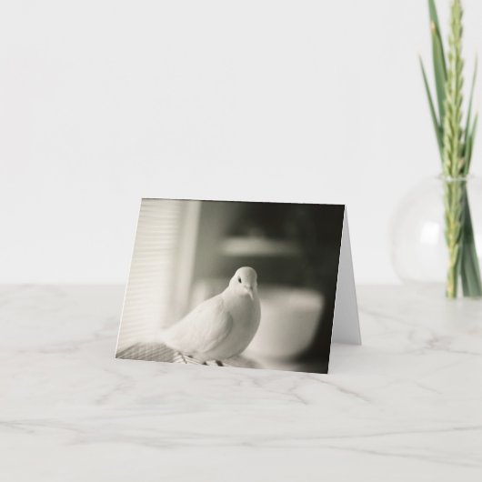 Dove Blank Kaart (Voorkant)