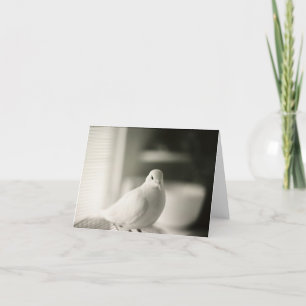 Dove Blank-kaart Kaart