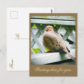 "DOVE" BRIEFKAART (Voorkant / Achterkant)