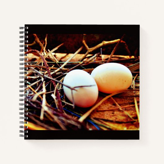 Dove Eggs Notitieboek (Voorkant)