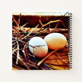Dove Eggs Notitieboek (Achterkant)