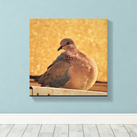 Dove Elegance Canvas Afdruk (Insitu (Houten vloer))