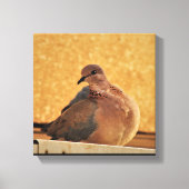 Dove Elegance Canvas Afdruk (Voorkant)