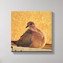 Dove Elegance Canvas Afdruk