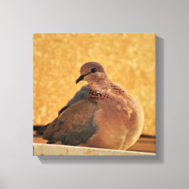 Dove Elegance Canvas Afdruk