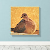 Dove Elegance Canvas Afdruk (Insitu (Houten vloer))