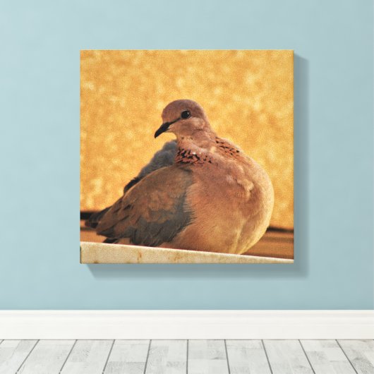 Dove Elegance Canvas Afdruk (Insitu (Houten vloer))