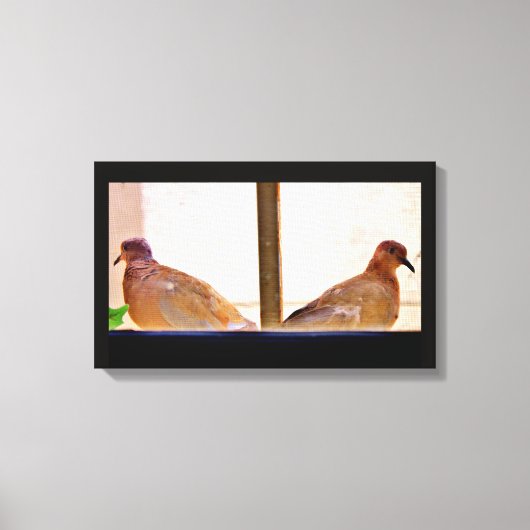 Dove Friends Canvas Afdruk (Voorkant)