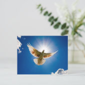 Dove in de zon briefkaart (Staand voorkant)