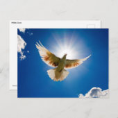 Dove in de zon briefkaart (Voorkant / Achterkant)