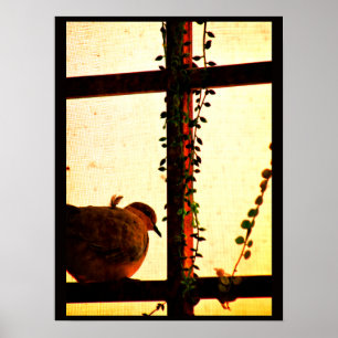 Dove in een stofachtig Storm Poster