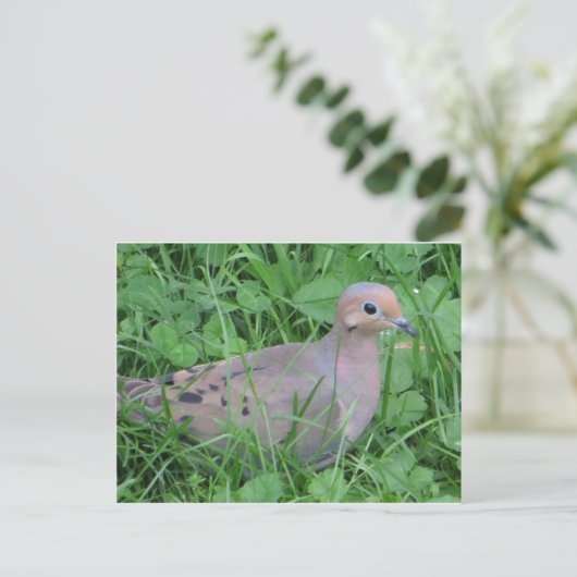 Dove in gras briefkaart (Staand voorkant)