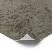 Dove In het zand Poster (Hoek)