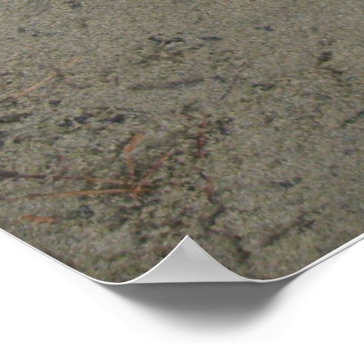 Dove In het zand Poster (Hoek)