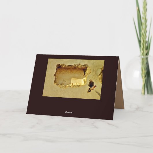 Dove in vlucht kaart (Achterkant)