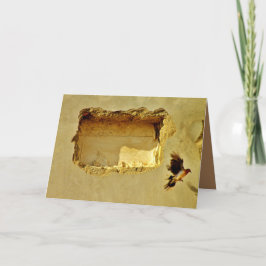 Dove in vlucht kaart