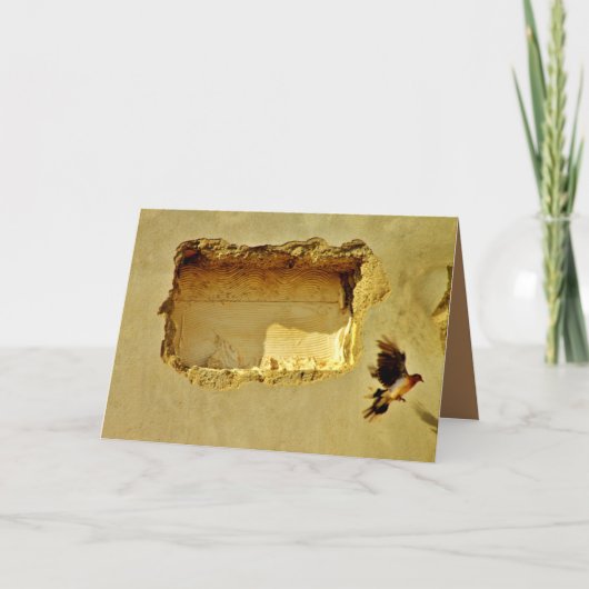 Dove in vlucht kaart (Voorkant)