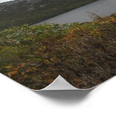 Dove Lake, Cradle Mountain, Tasmania Poster (Hoek)