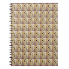 Dove Love Notitieboek